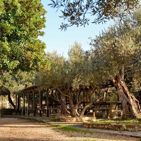 Camping Alquézar Dış mekan fotoğraf