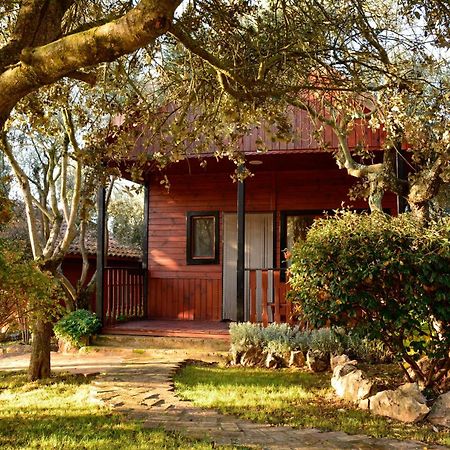 Camping Alquézar Dış mekan fotoğraf