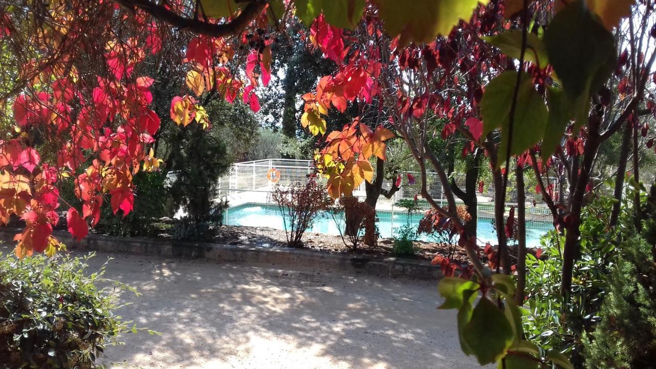 Camping Alquézar Dış mekan fotoğraf
