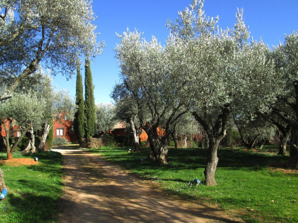 Camping Alquézar Dış mekan fotoğraf