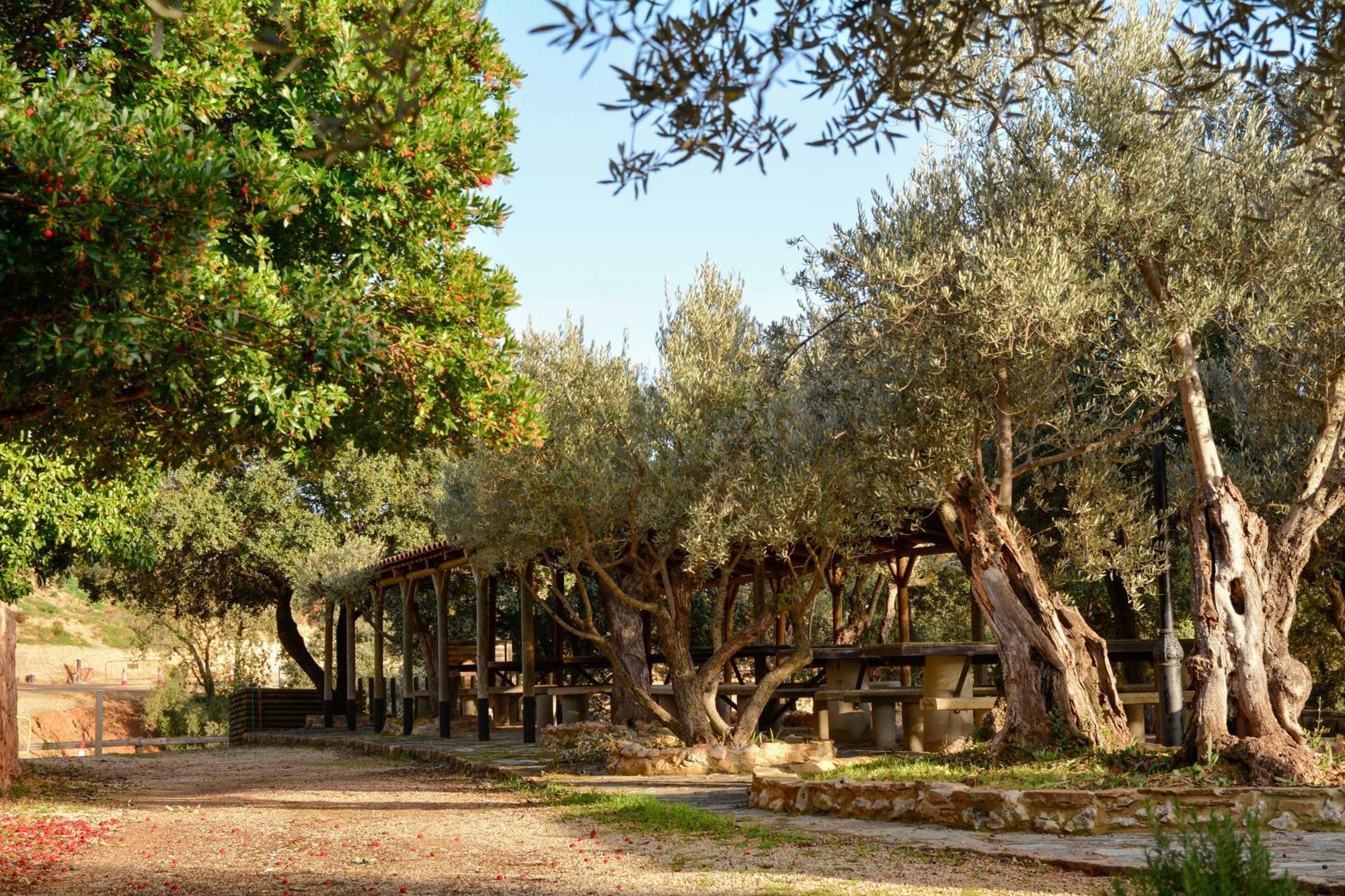 Camping Alquézar Dış mekan fotoğraf