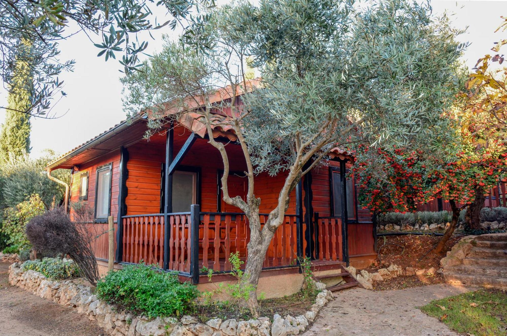 Camping Alquézar Dış mekan fotoğraf