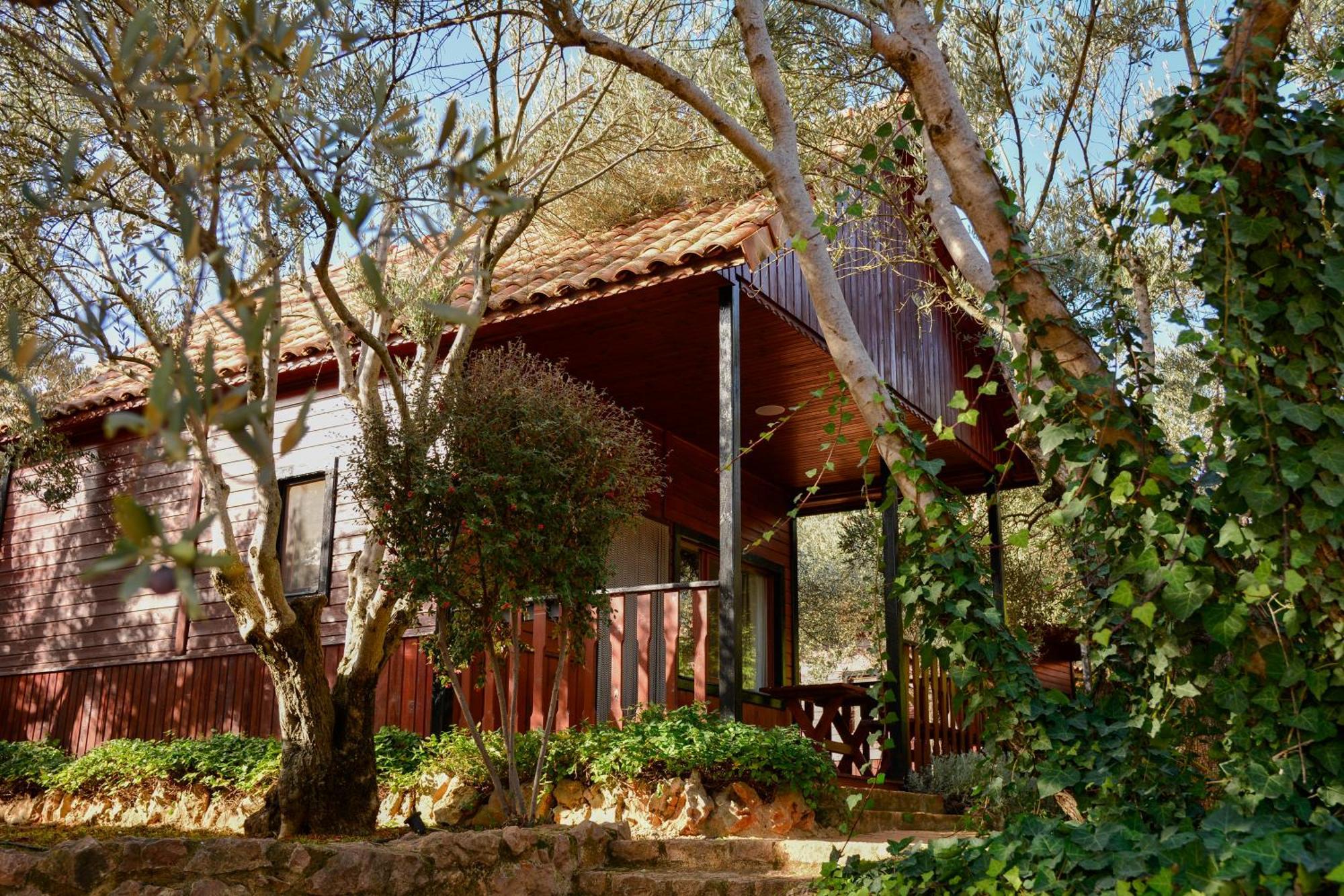 Camping Alquézar Dış mekan fotoğraf